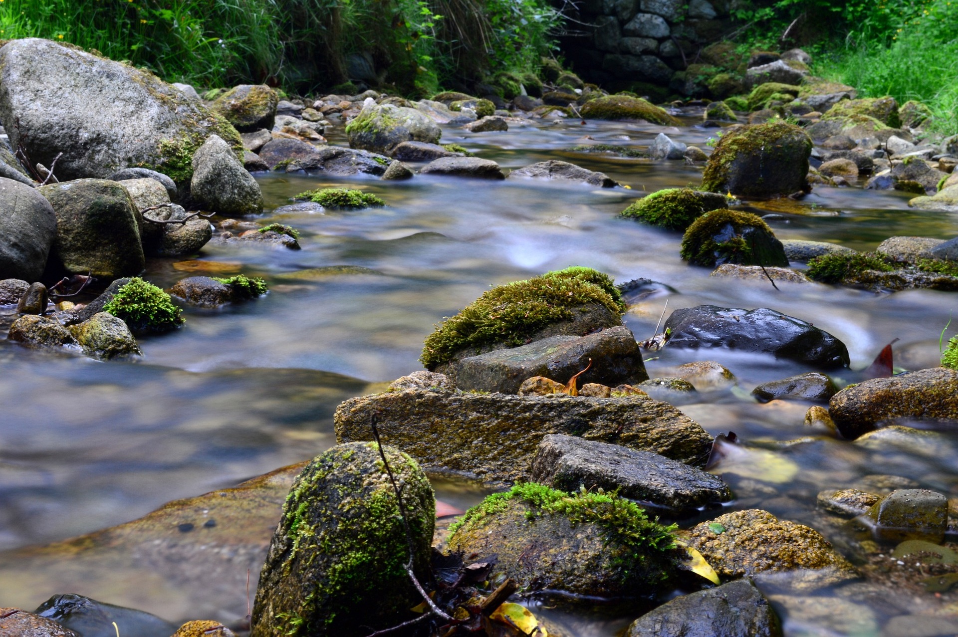 balade encre eau afleurderuisseau