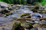 Balade d&#039;encre et d&#039;eau